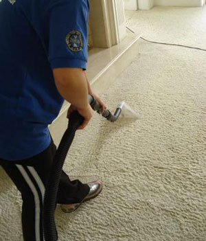 limpeza de carpete