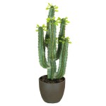 Cactus artificial - Plana artificial para jardins de pedra, o cactus pode mesmo ser artificial.