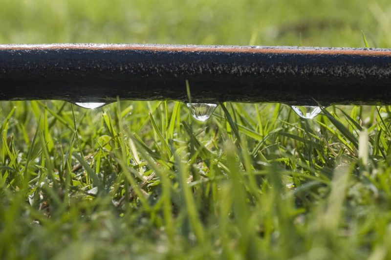 O método mais comumente utilizado é o gotejamento superficial do solo, por meio de tubos perfurados que liberam água