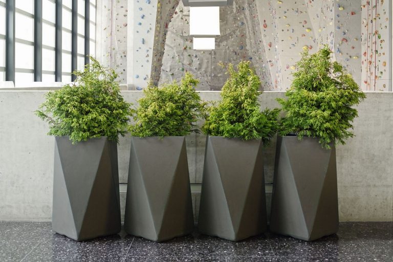 VASO DE CONCRETO → Como Fazer, Preço, Forma, Molde (CONFIRA!)