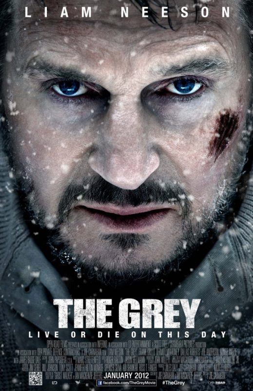 poster para imprimir filmes the gray