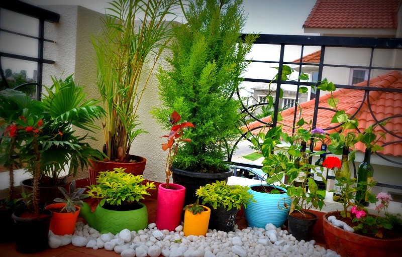 Plantas Para Apartamento Pequeno