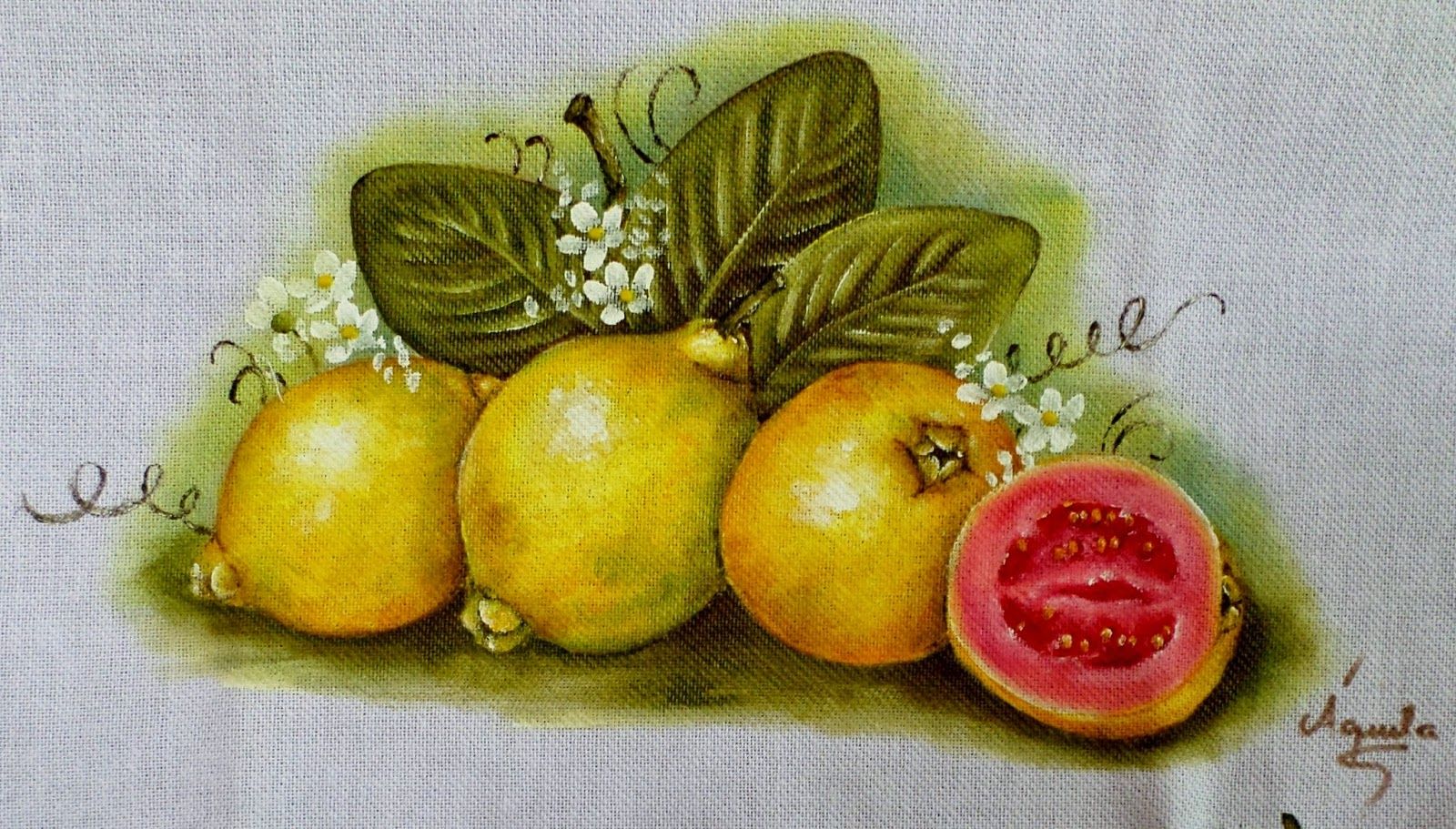 Para Pintura em Tecidos frutas