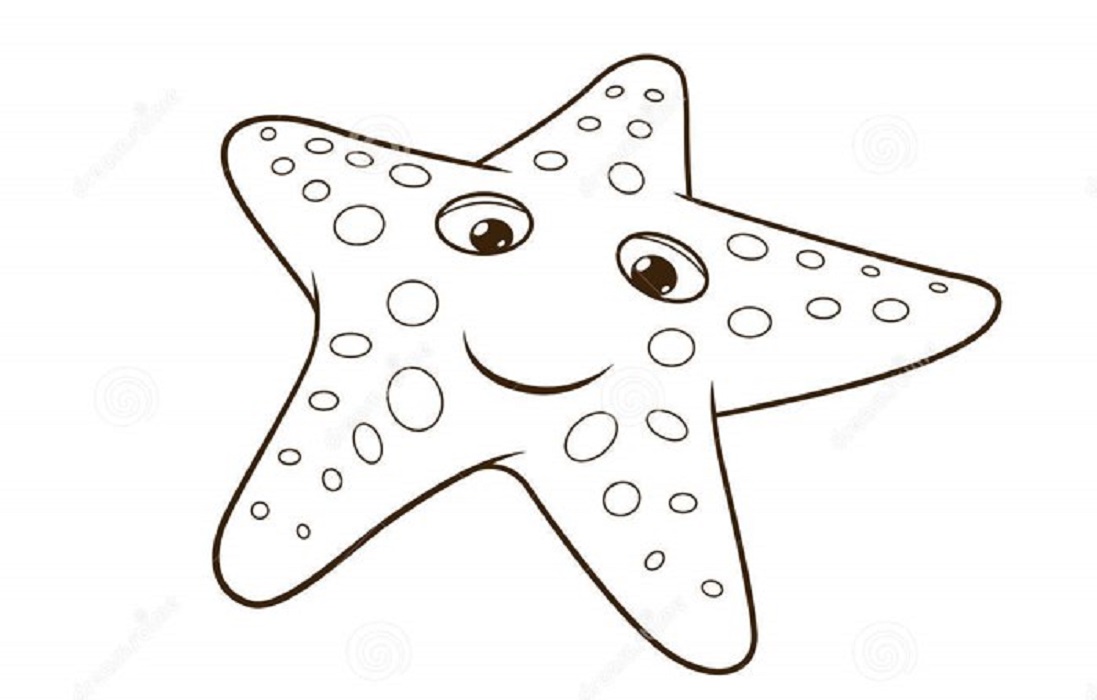 molde de estrela do mar