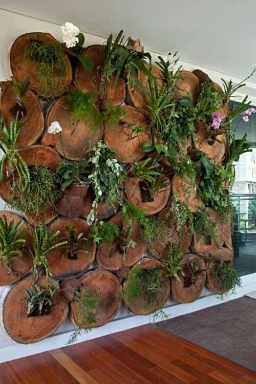 Mesa de Bolacha para plantas