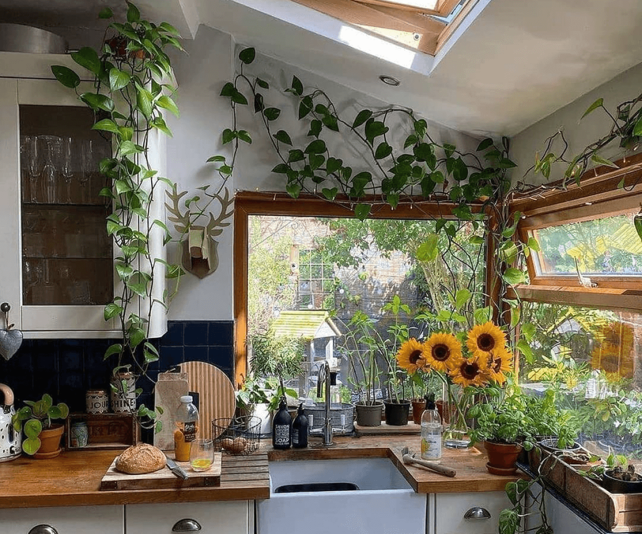 Urban Jungle na cozinha
