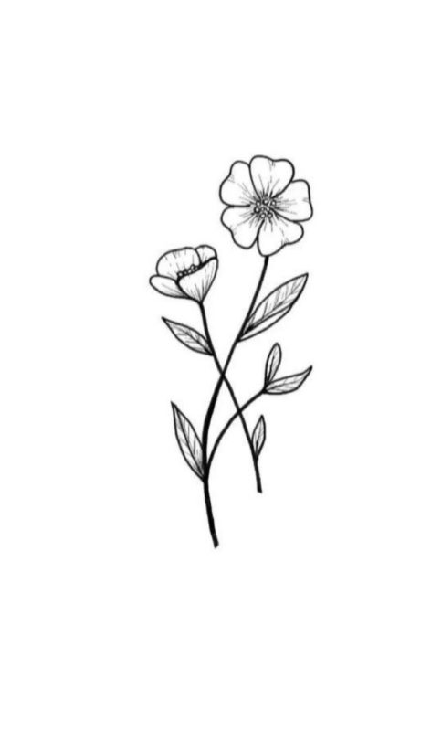 DESENHO DE FLOR → Modelos Fáceis de Copiar e Imprimir